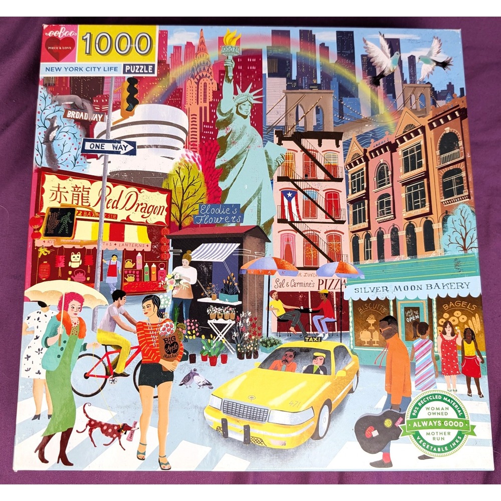 EeBoo Jigsaw Puzzle New York City Life 1000 piece Open Counted